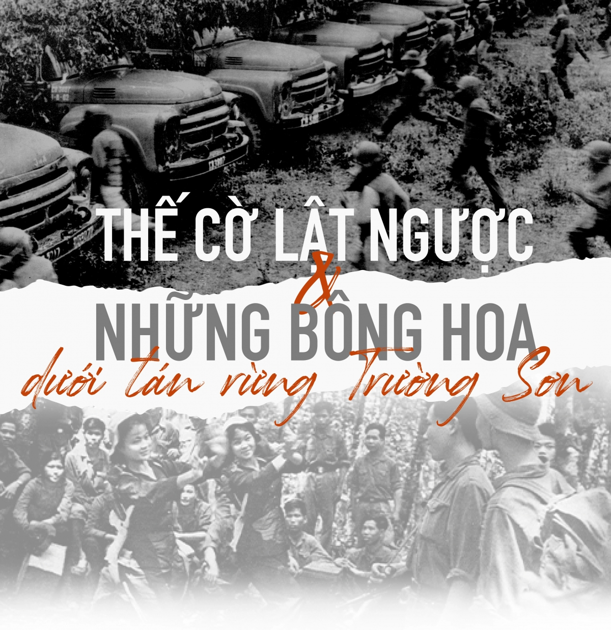 Thế cờ lật ngược và những bông hoa dưới tán rừng Trường Sơn